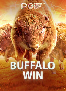 บา คารา sbobet: ทดลองเล่นได้แบบเจ๋งๆ กับฟีเจอร์สนุกๆ